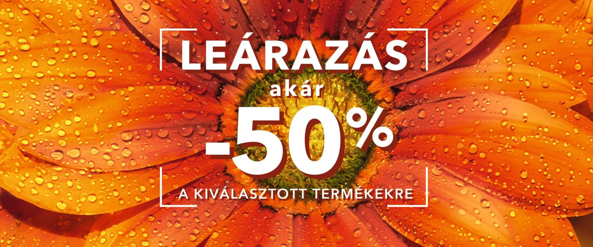 Yves Rocher akciós újság - 1