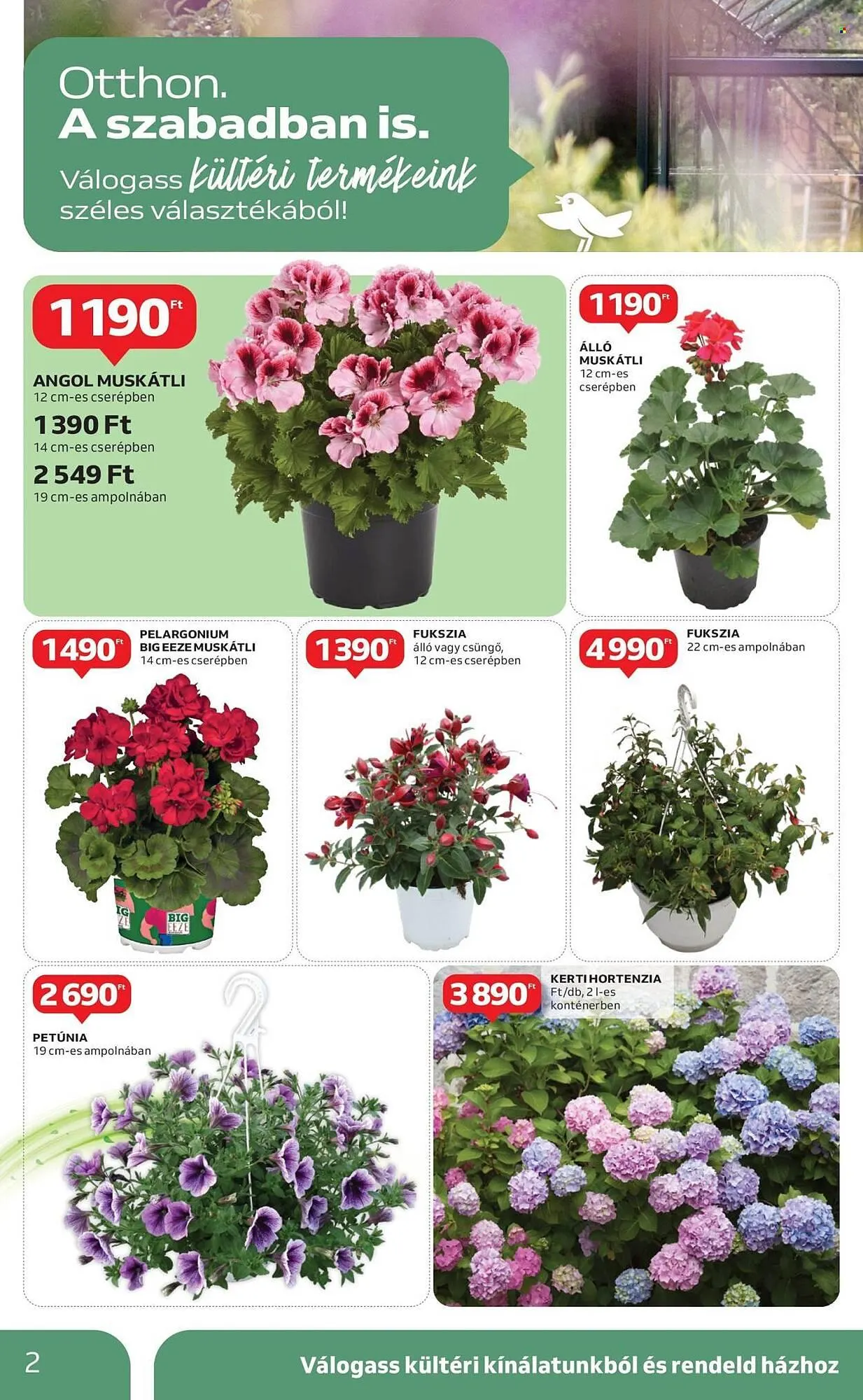 Katalógus Auchan akciós újság április 24.-tól május 14.-ig 2025. - Oldal 2