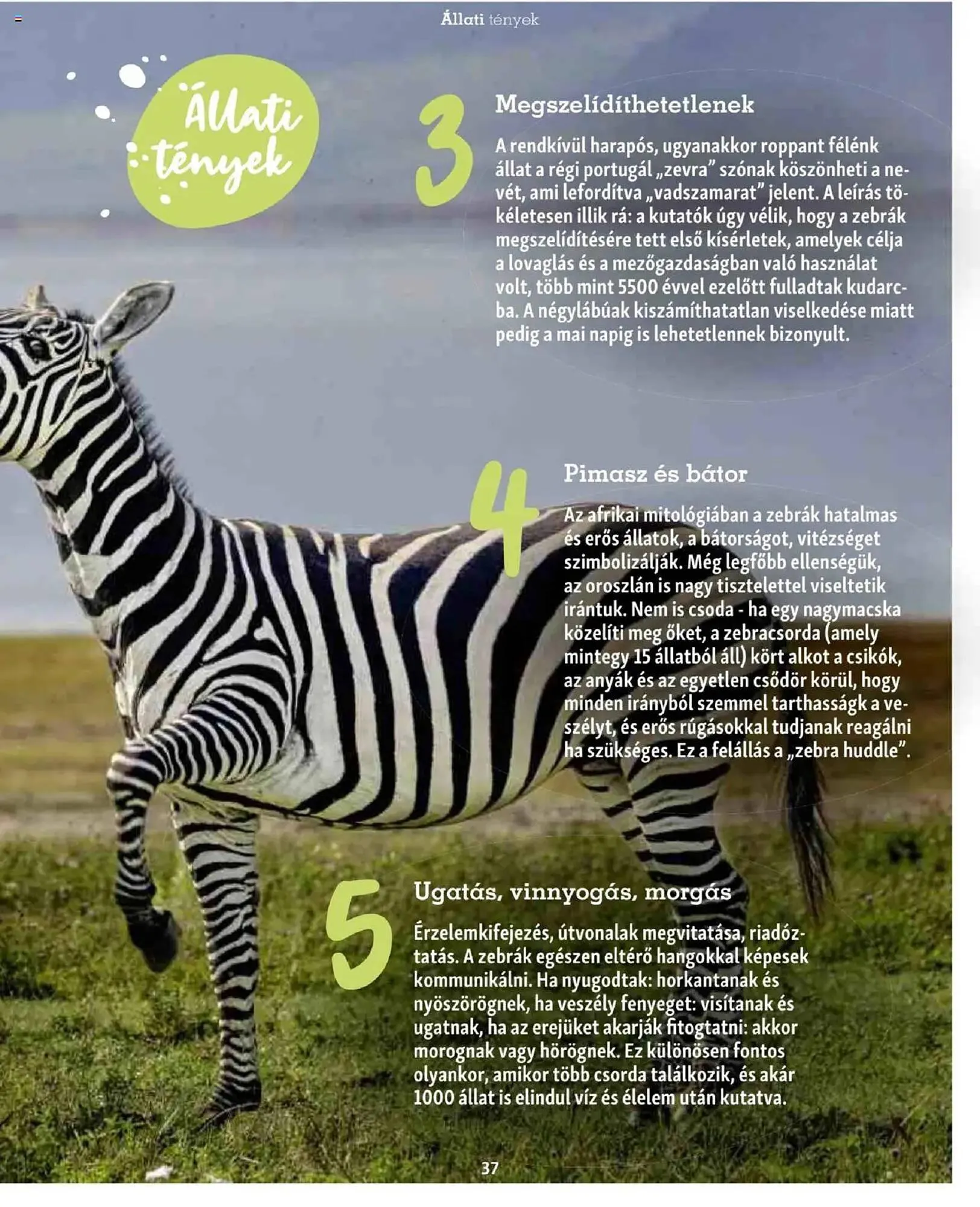 Katalógus Fressnapf akciós újság május 5.-tól május 13.-ig 2025. - Oldal 37