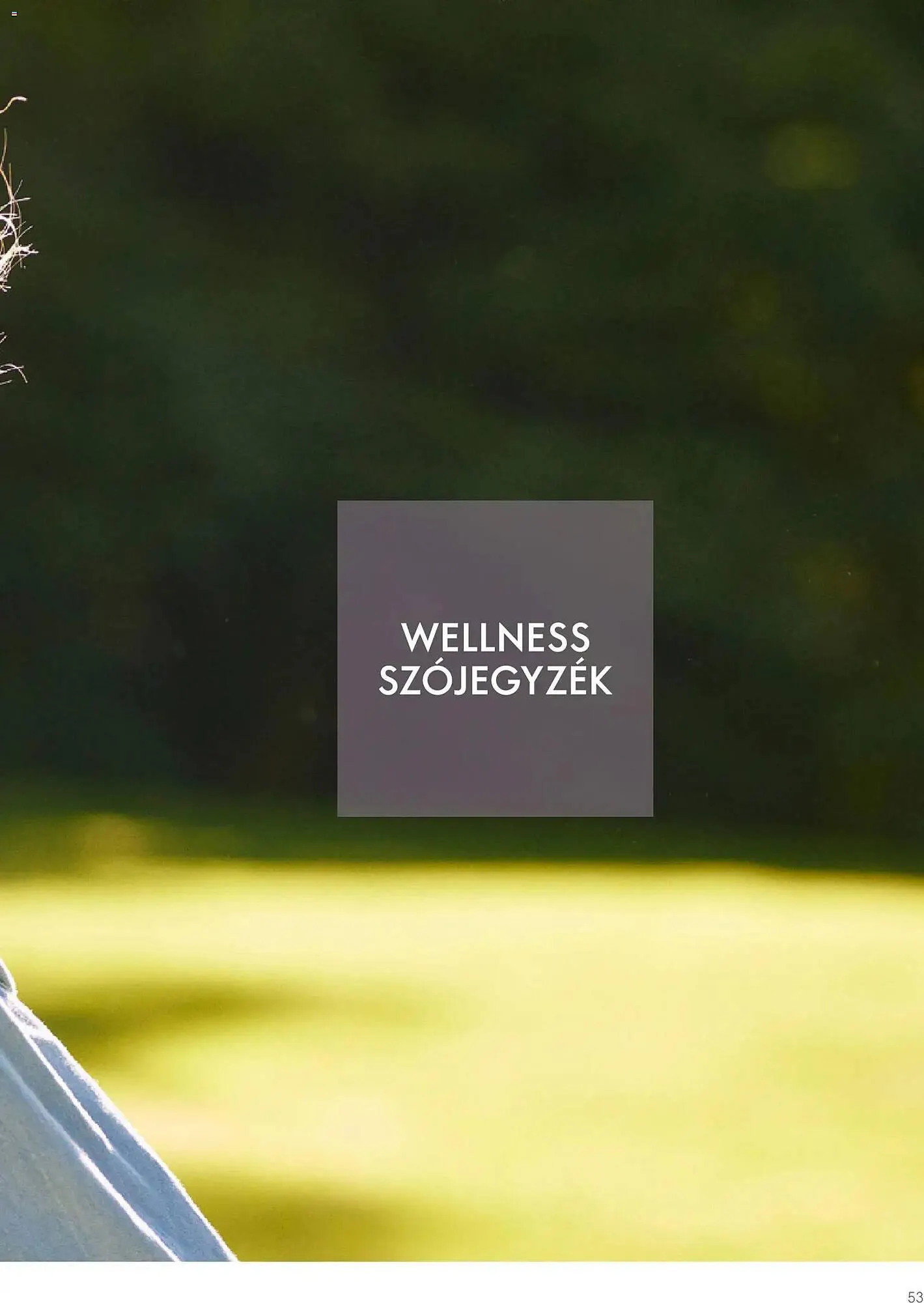 Katalógus Oriflame katalógus január 2.-tól december 31.-ig 2026. - Oldal 53