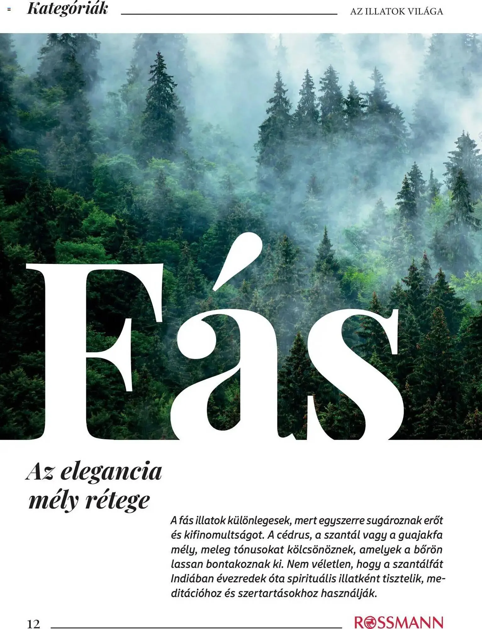 Katalógus Rossmann akciós újság október 16.-tól december 31.-ig 2025. - Oldal 12