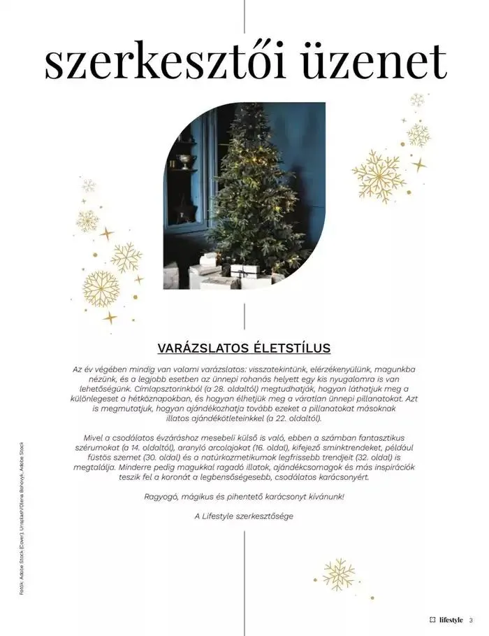 Katalógus Különleges ajánlatok Önnek november 21.-tól december 5.-ig 2024. - Oldal 23