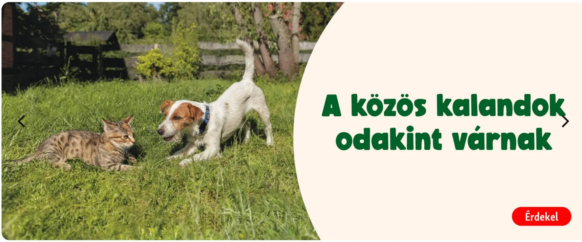 Katalógus Fressnapf akciós újság március 17.-tól április 4.-ig 2026. - Oldal 11