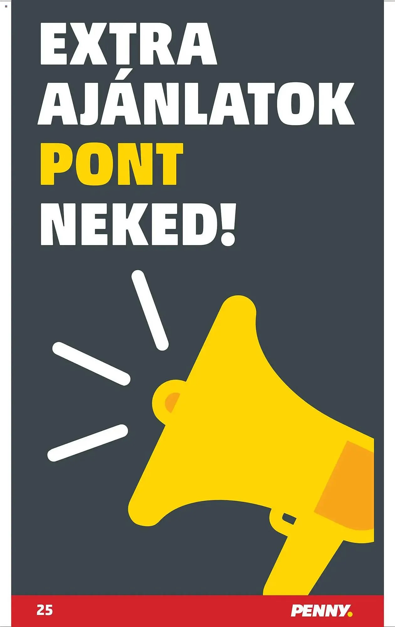 Katalógus PENNY akciós újság december 4.-tól december 10.-ig 2025. - Oldal 29