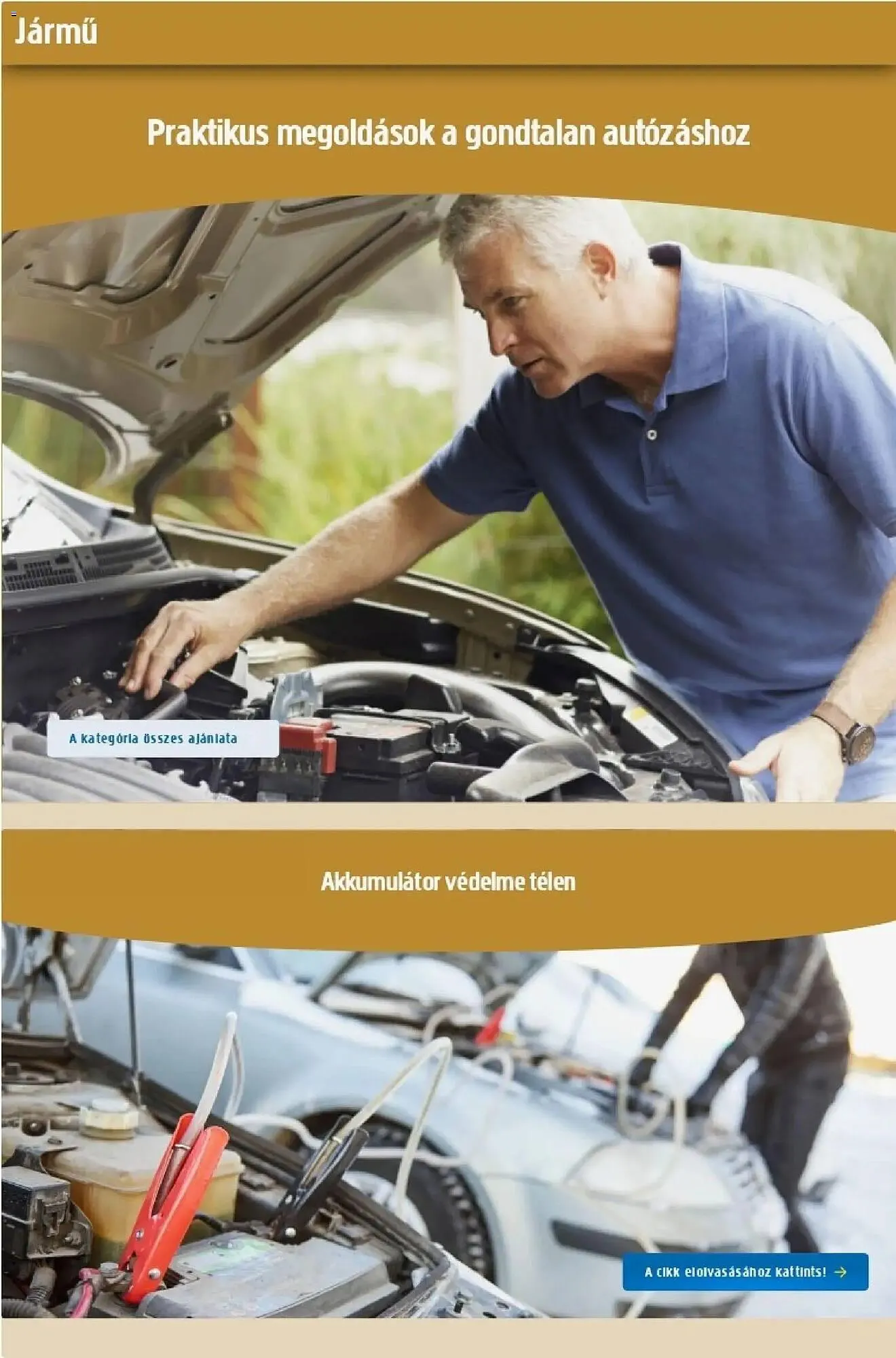 Katalógus Praktiker akciós újság január 2.-tól január 26.-ig 2026. - Oldal 36