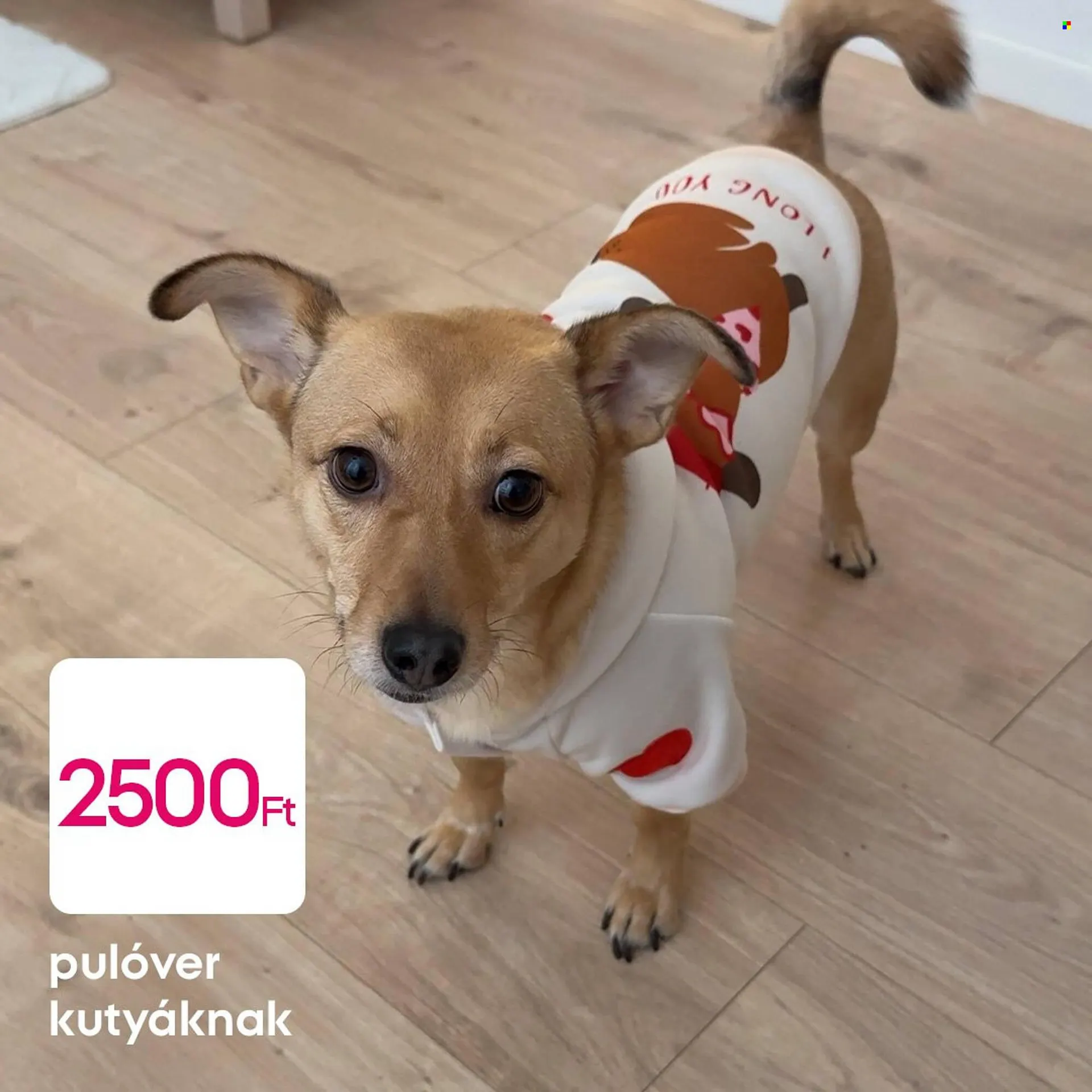 Katalógus Pepco akciós újság február 1.-tól február 9.-ig 2026. - Oldal 3