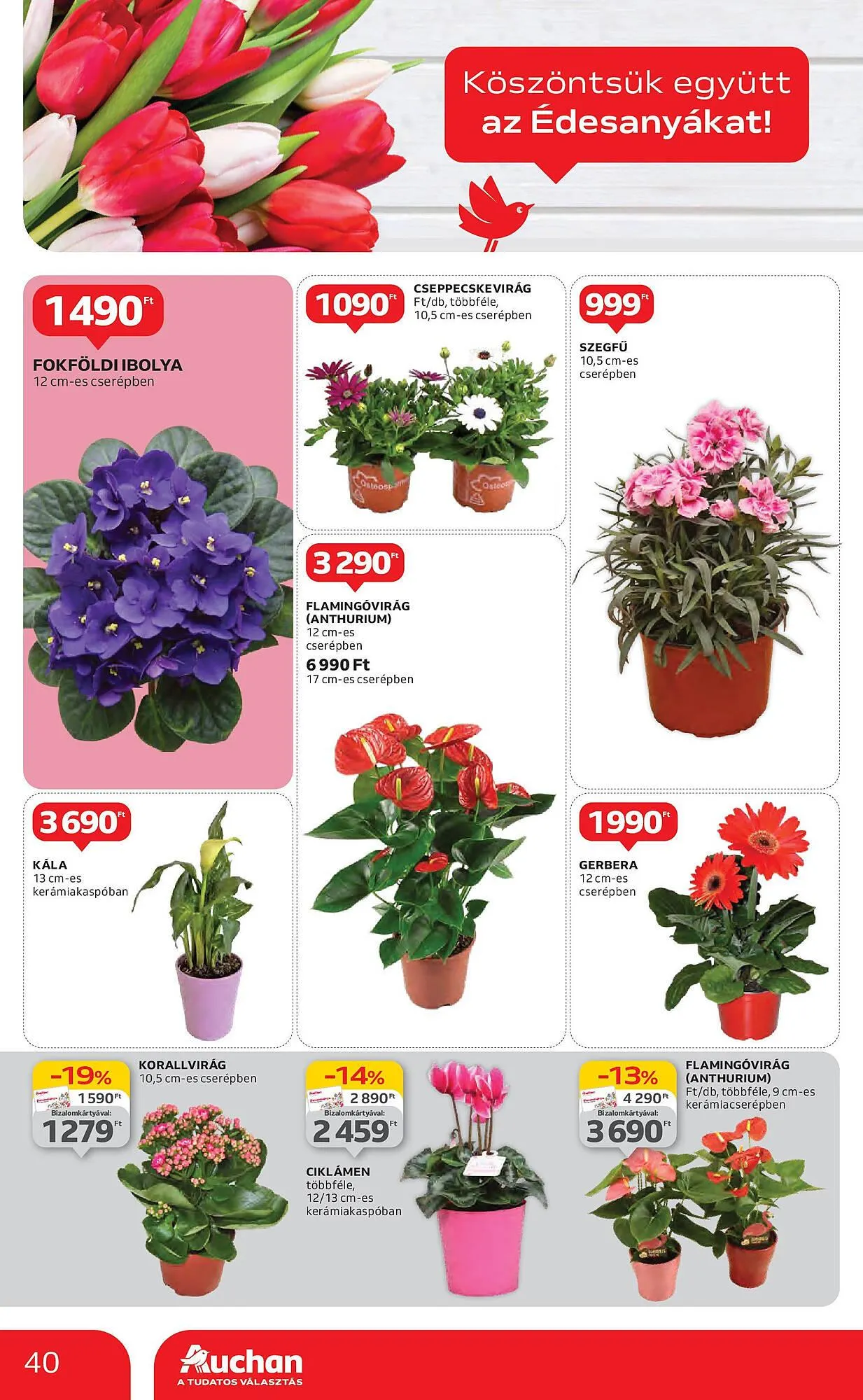 Katalógus Auchan akciós újság május 2.-tól május 7.-ig 2025. - Oldal 40