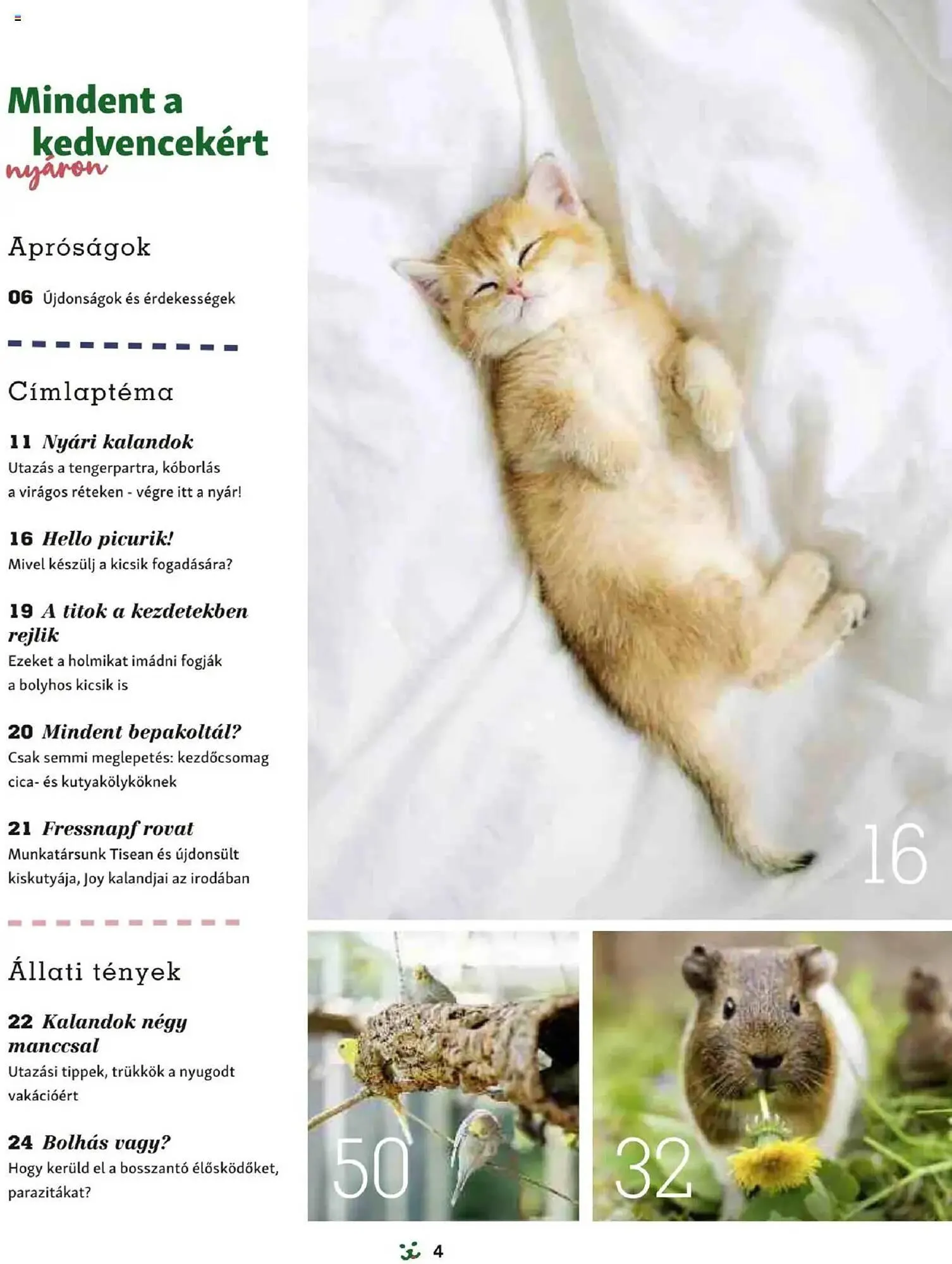 Katalógus Fressnapf akciós újság május 5.-tól augusztus 31.-ig 2025. - Oldal 4