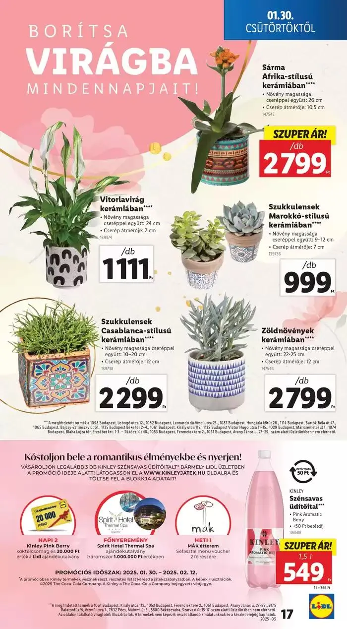 Katalógus Akciós újság – 05. hét január 30.-tól február 5.-ig 2025. - Oldal 17