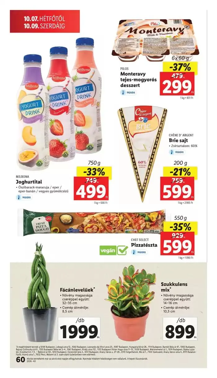 Katalógus Akciós újság – 40. hét október 3.-tól október 9.-ig 2024. - Oldal 60