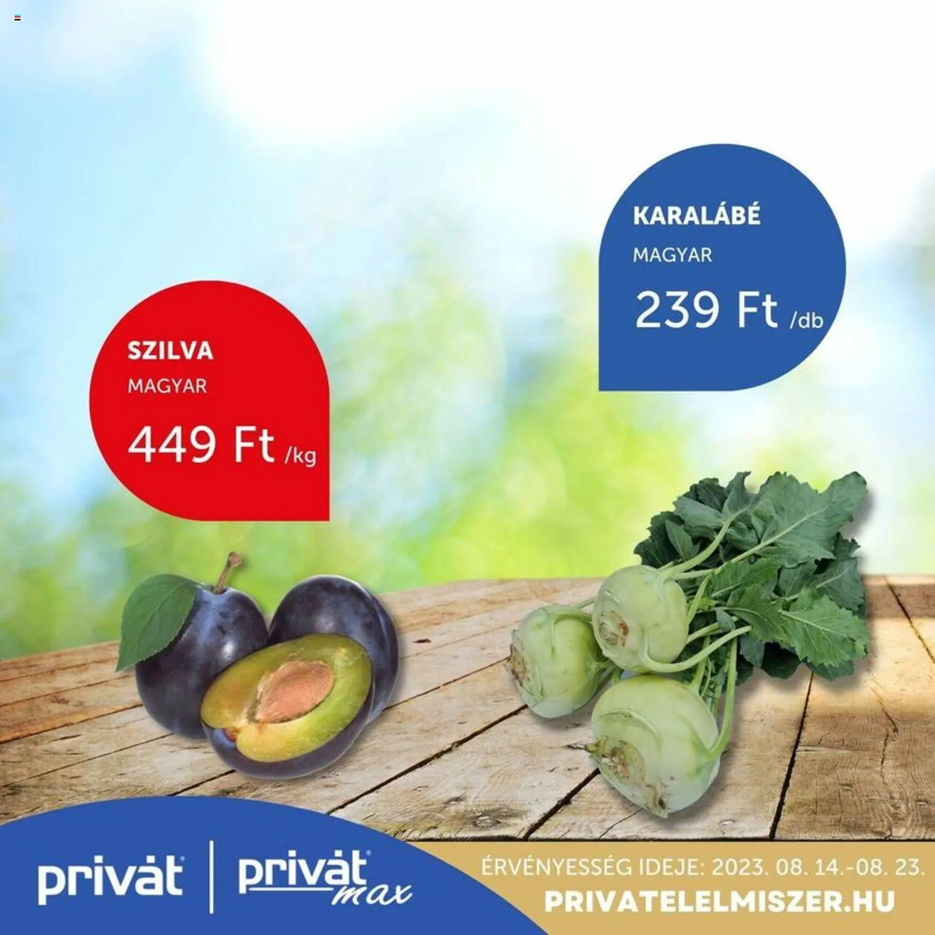 Katalógus PRIVÁT akciós újság augusztus 14.-tól augusztus 23.-ig 2023. - Oldal 1