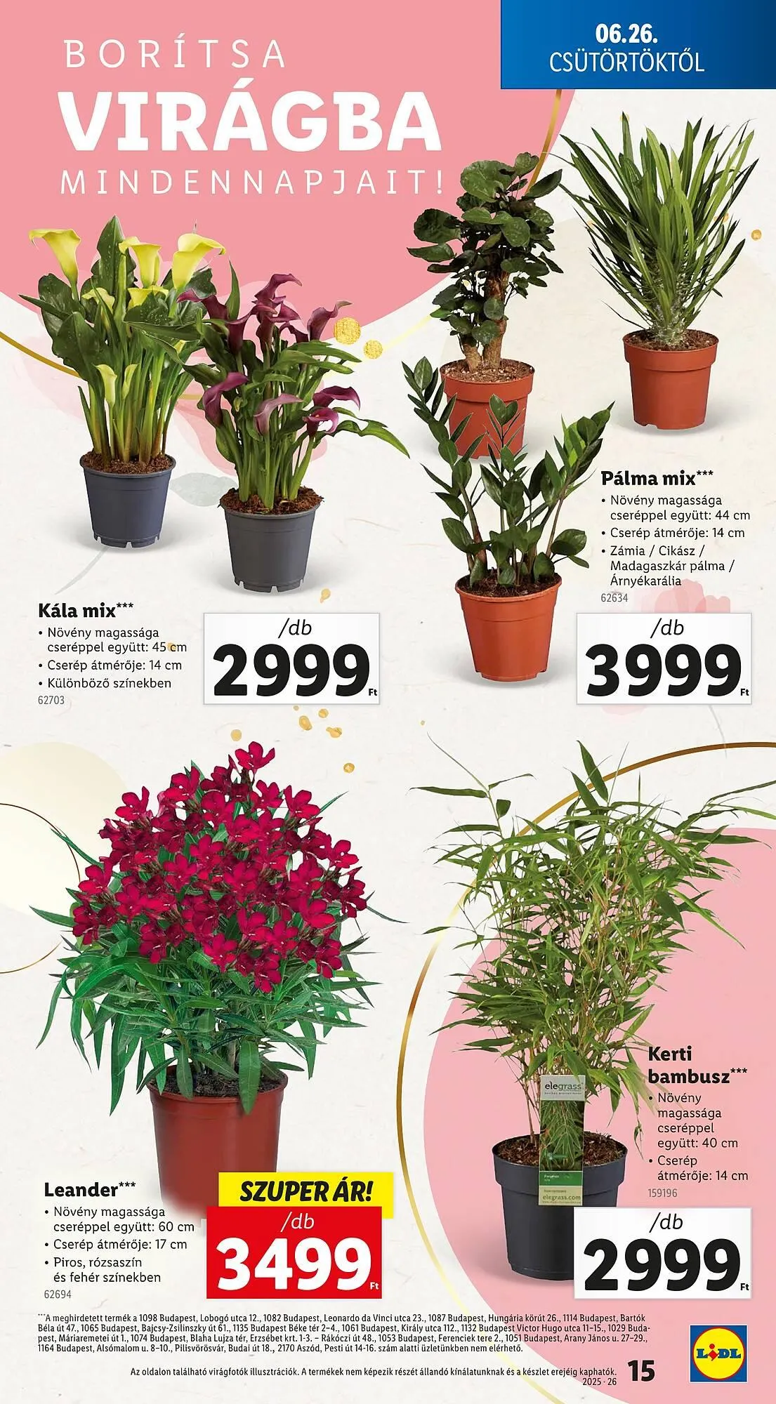 Katalógus Lidl akciós újság június 26.-tól július 2.-ig 2025. - Oldal 15