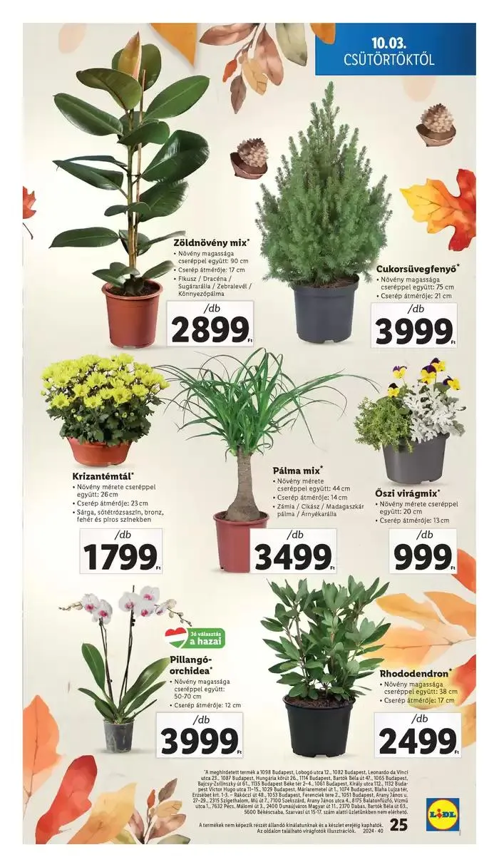 Katalógus Akciós újság – 40. hét október 3.-tól október 9.-ig 2024. - Oldal 25