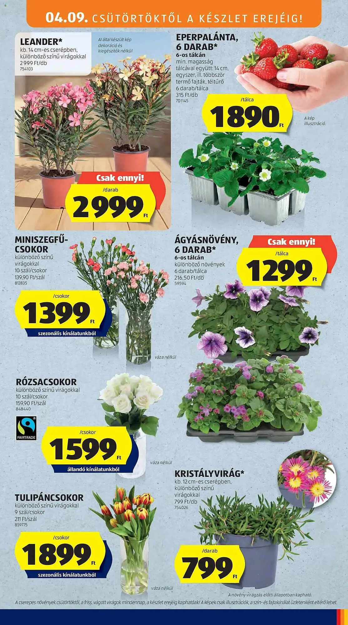 Katalógus ALDI akciós újság április 9.-tól április 15.-ig 2026. - Oldal 5