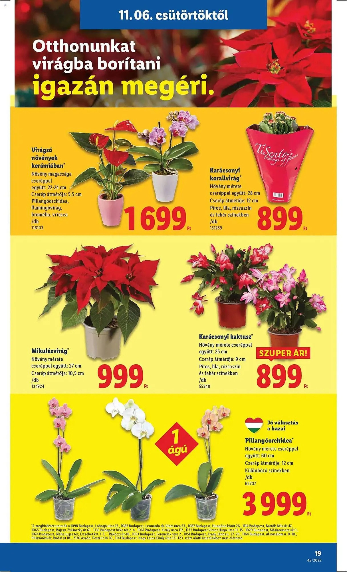 Katalógus Lidl akciós újság november 6.-tól november 12.-ig 2025. - Oldal 19