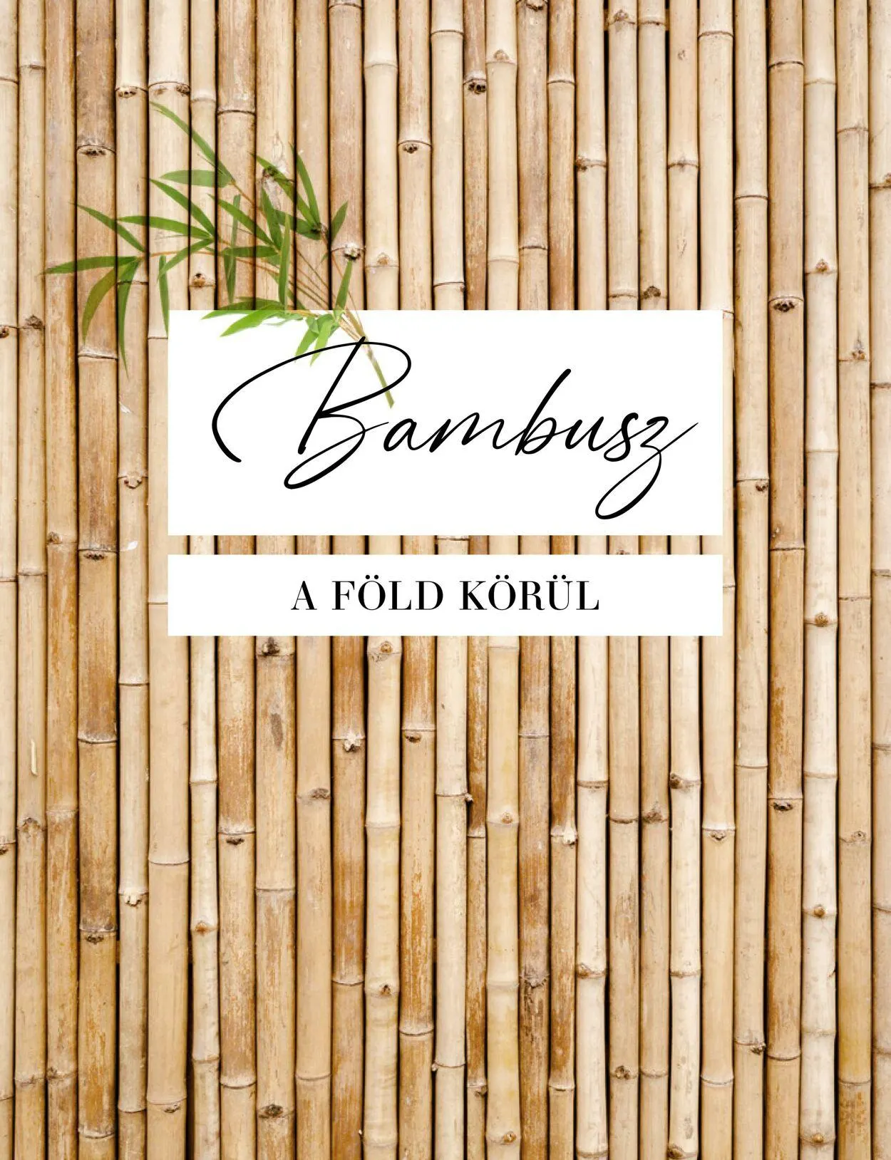 Katalógus Butlers március 14.-tól december 31.-ig 2023. - Oldal 62