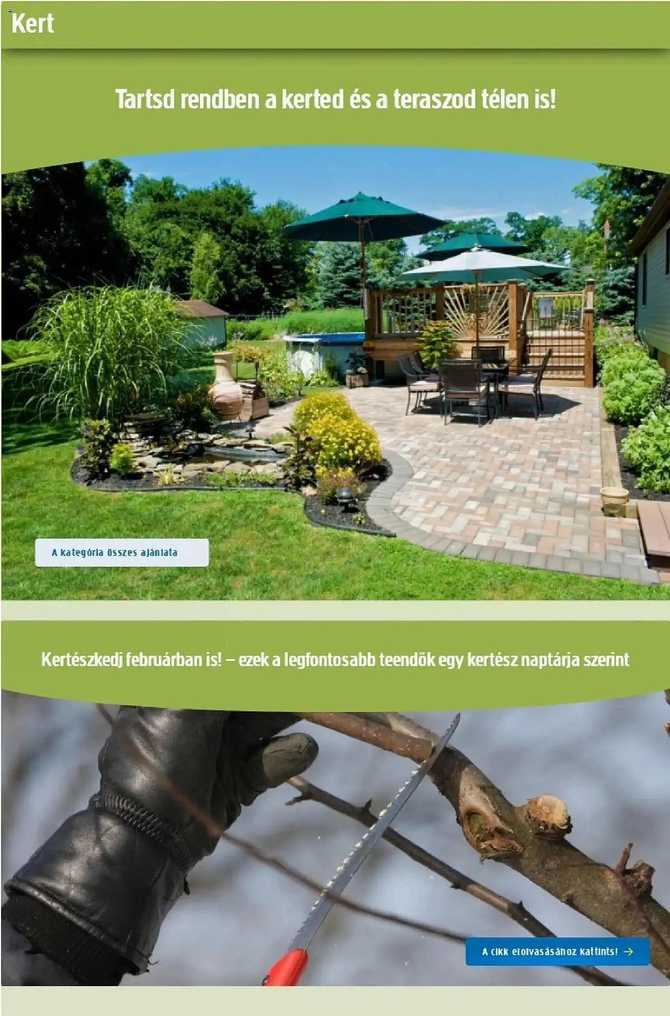 Katalógus Praktiker akciós újság január 29.-tól február 11.-ig 2026. - Oldal 12