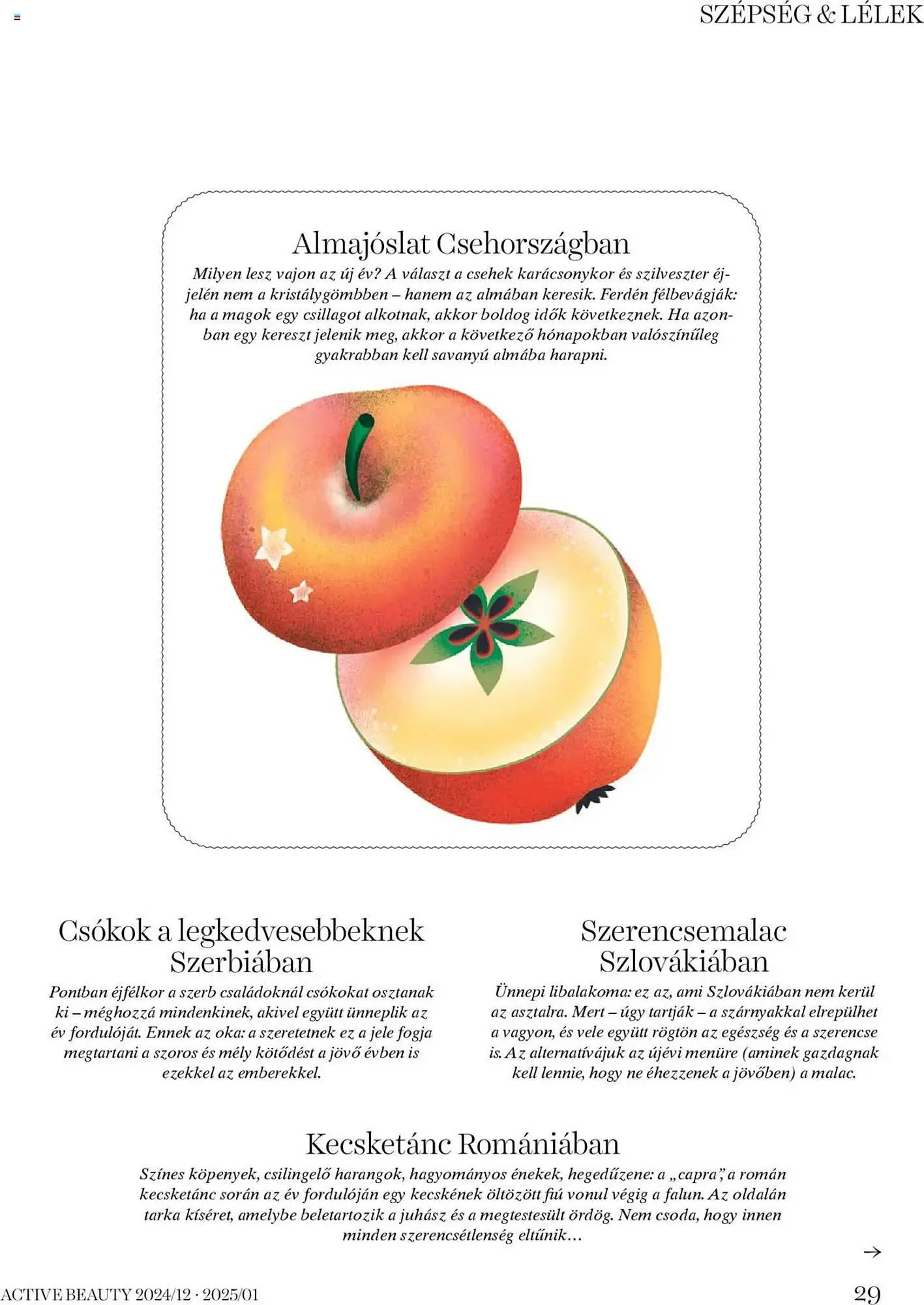 Katalógus DM akciós újság december 24.-tól január 25.-ig 2025. - Oldal 29