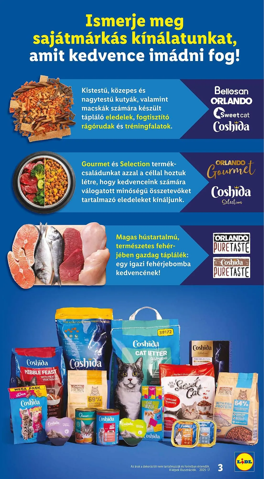 Katalógus Lidl akciós újság április 24.-tól június 17.-ig 2025. - Oldal 3