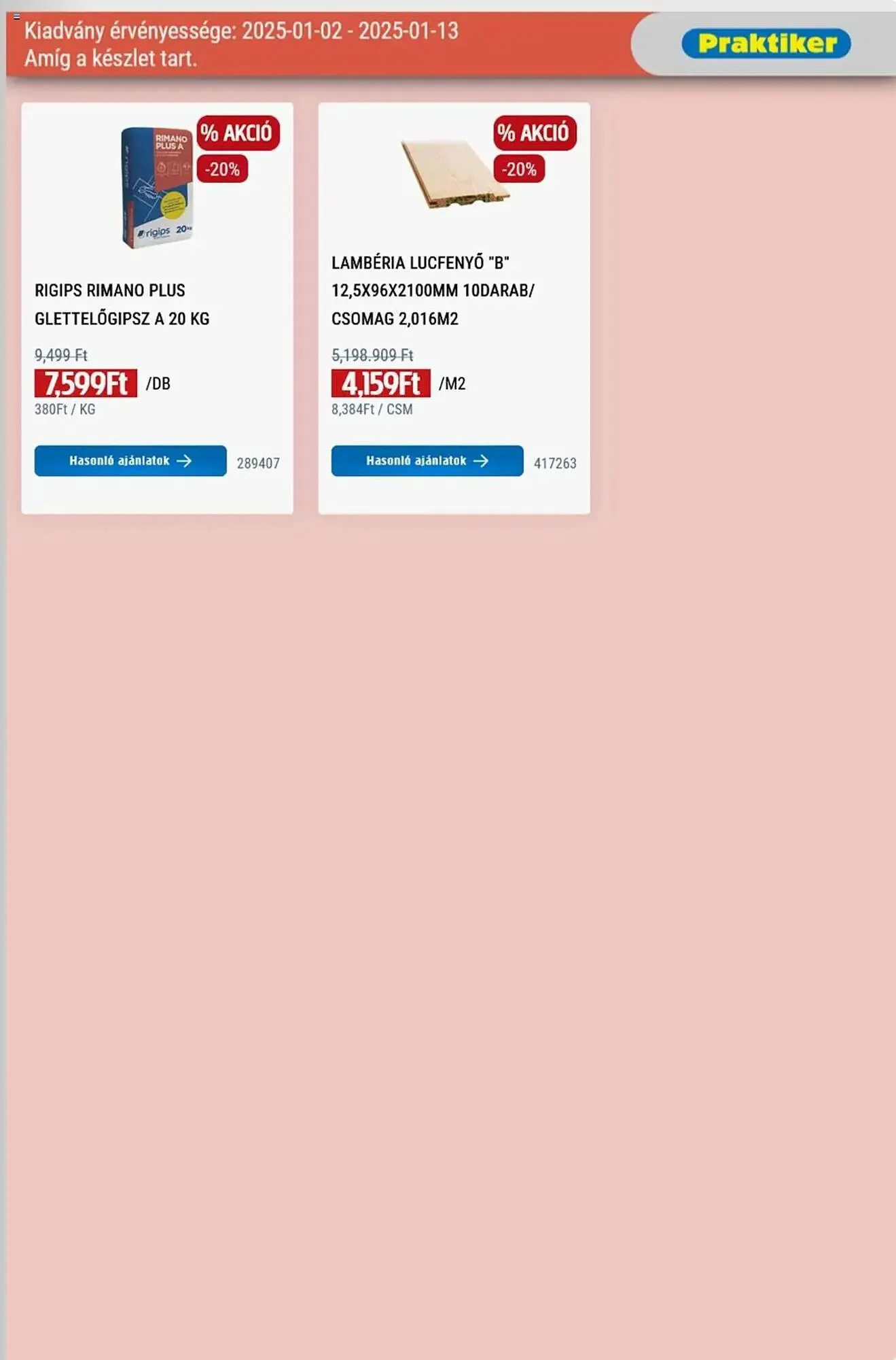 Katalógus Praktiker akciós újság január 2.-tól január 13.-ig 2025. - Oldal 21
