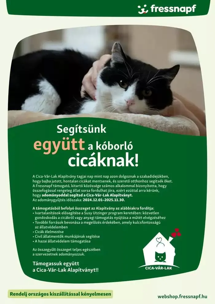 Katalógus Itt vannak a legjobb ajánlatok! január 7.-tól január 14.-ig 2025. - Oldal 4