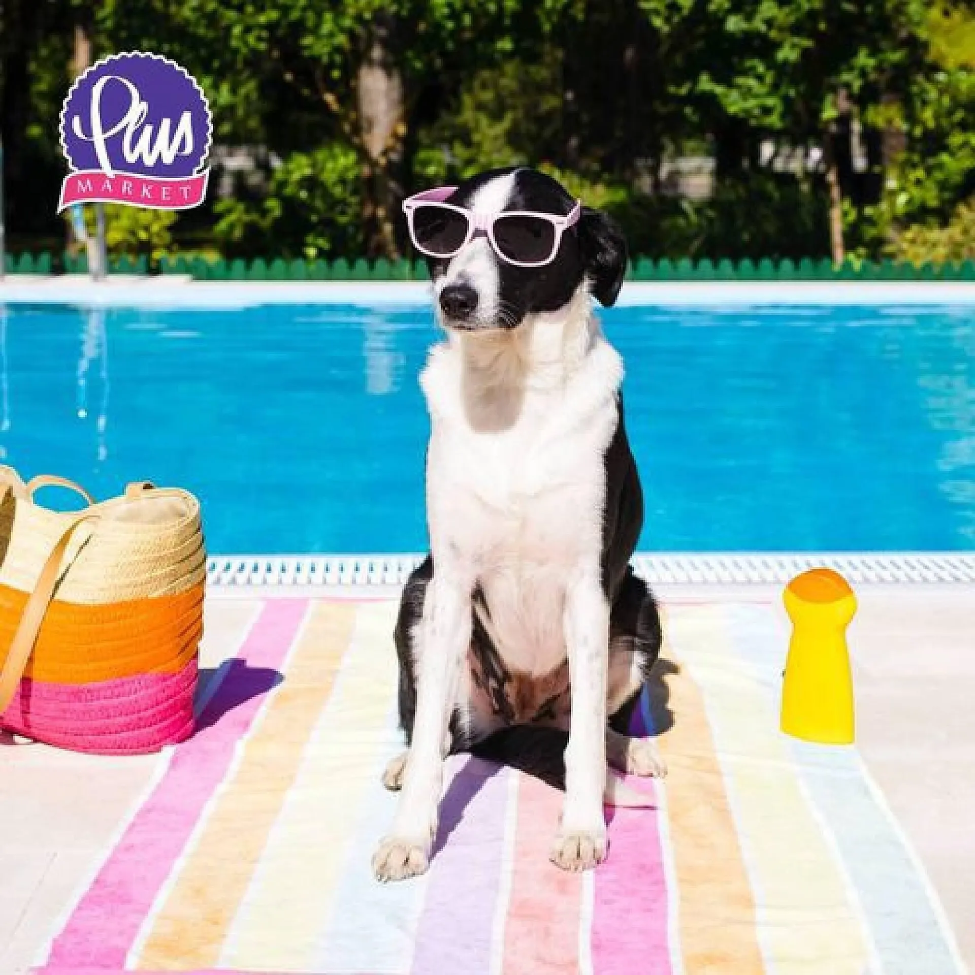 Katalógus PlusMarket akciós újság július 29.-tól augusztus 4.-ig 2024. - Oldal 3