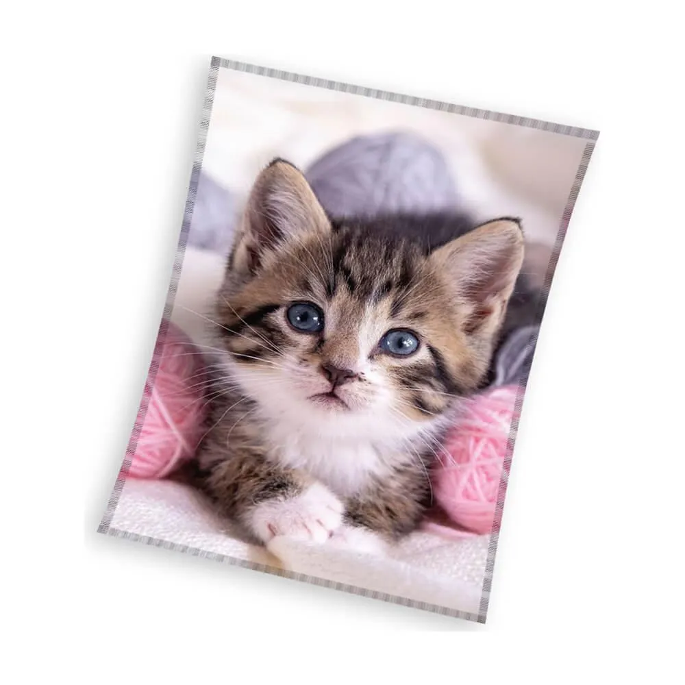 Mikroplüss takaró Cica