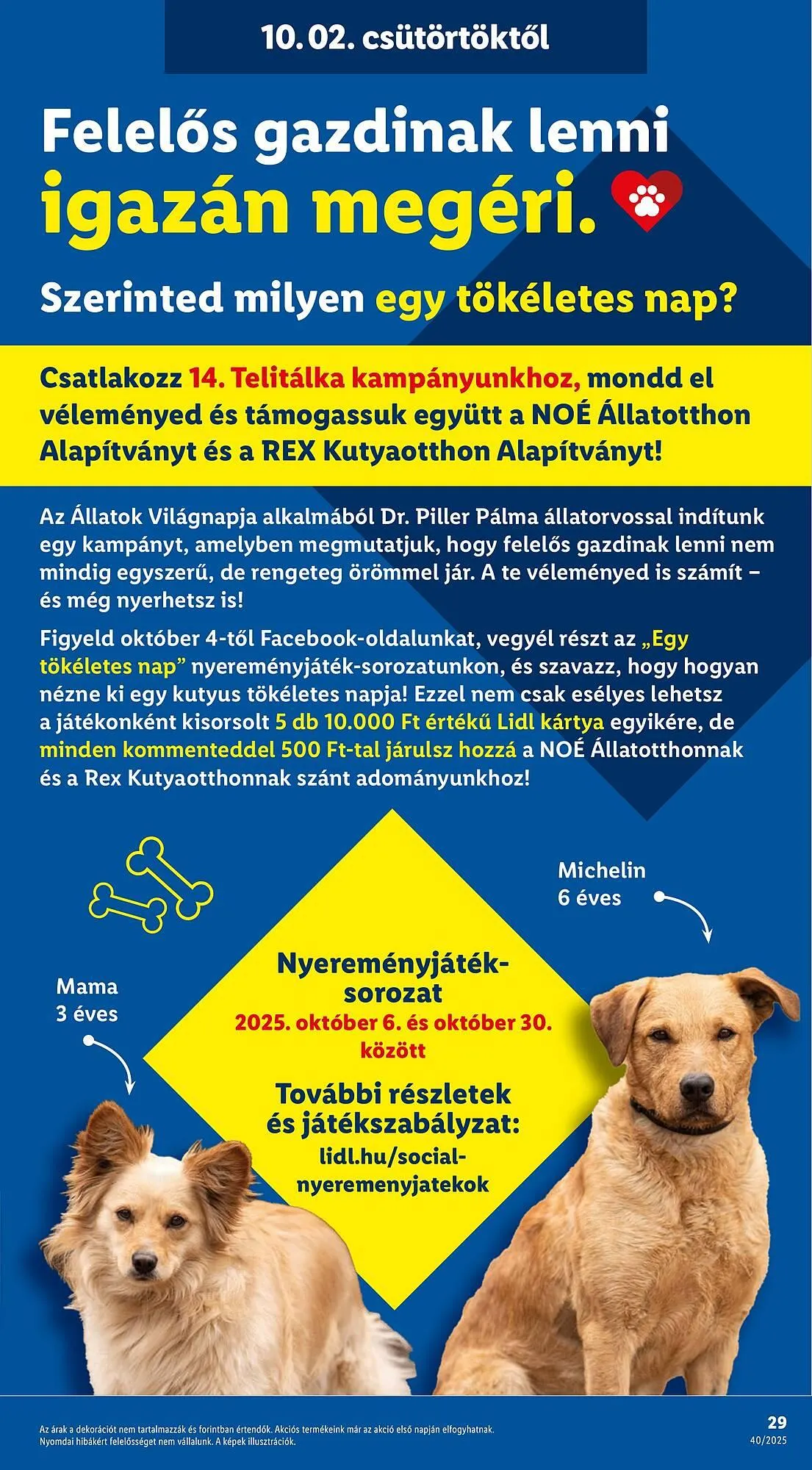 Katalógus Lidl akciós újság október 2.-tól október 8.-ig 2025. - Oldal 29