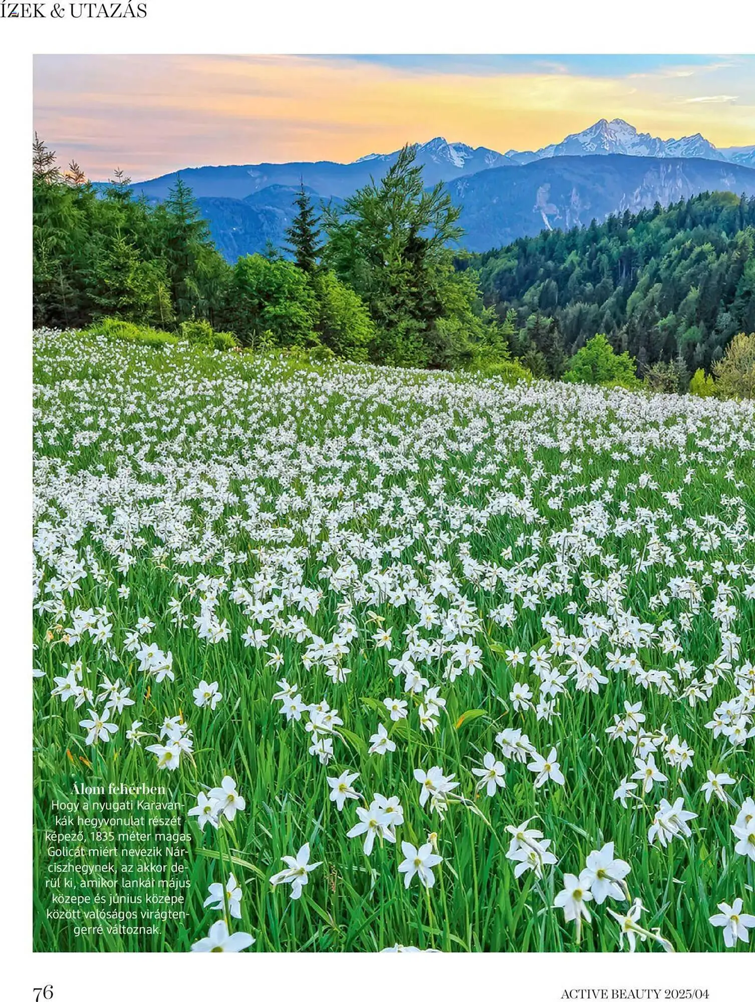 Katalógus DM akciós újság április 16.-tól április 24.-ig 2025. - Oldal 76