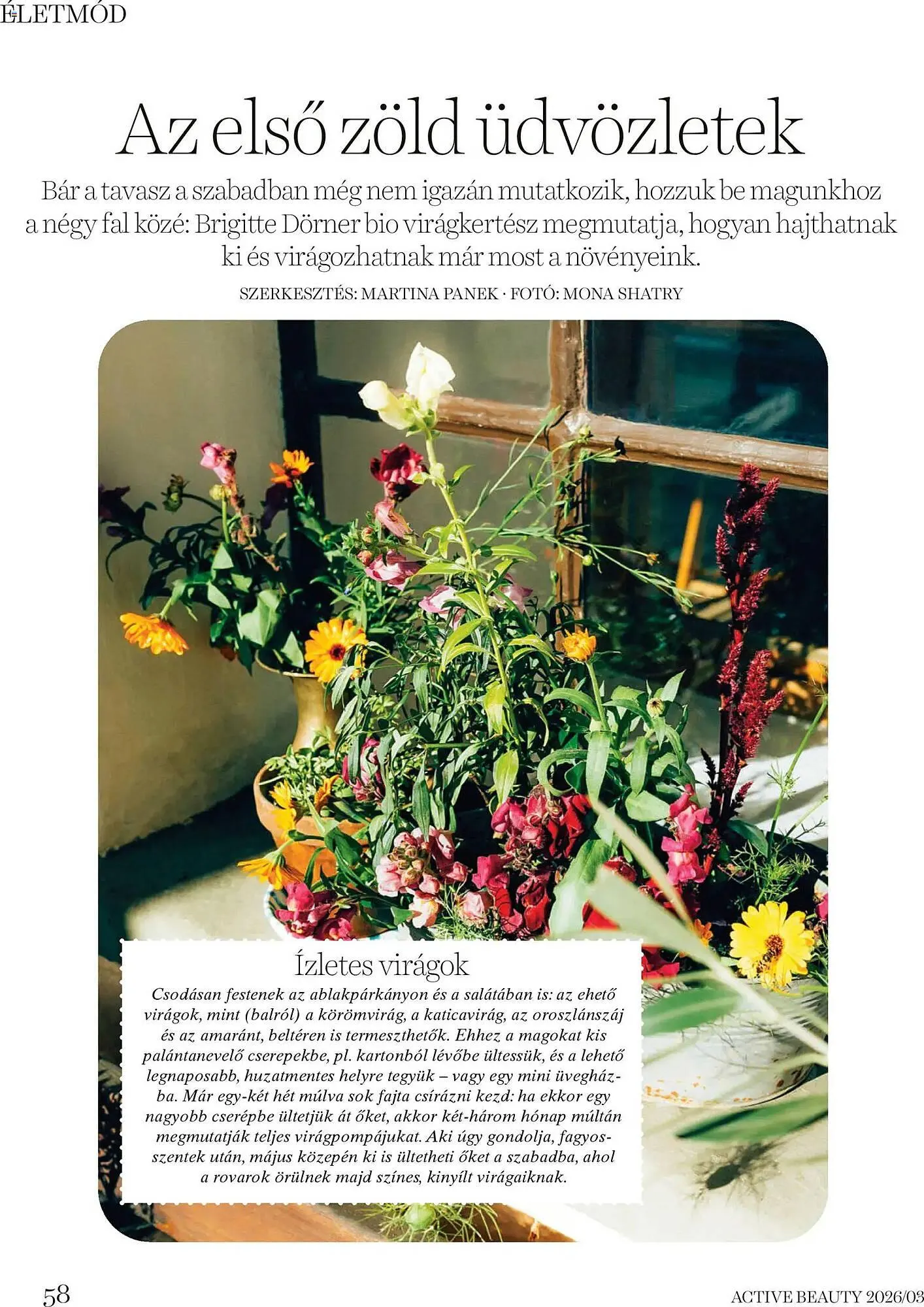 Katalógus DM akciós újság március 26.-tól április 30.-ig 2026. - Oldal 58