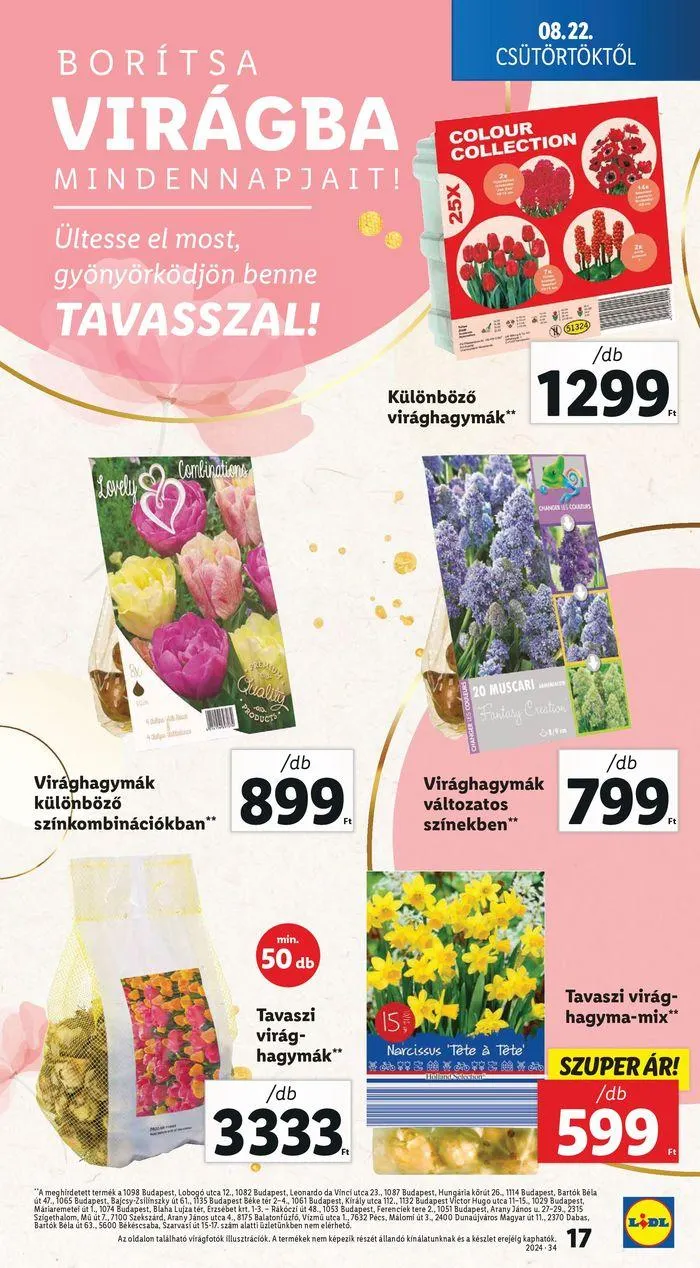 Katalógus Akciós újság – 34. hét augusztus 22.-tól augusztus 28.-ig 2024. - Oldal 17