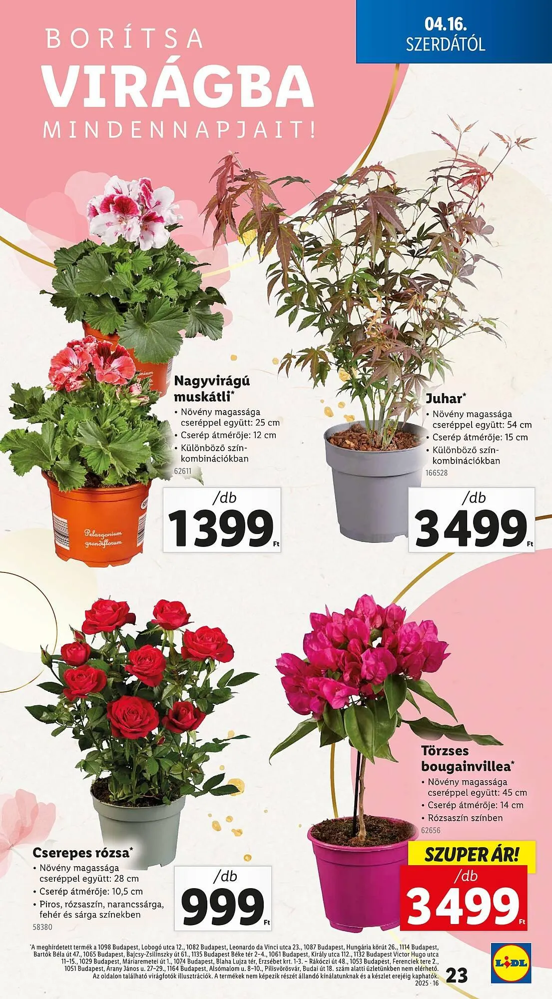 Katalógus Lidl akciós újság április 16.-tól április 19.-ig 2025. - Oldal 23