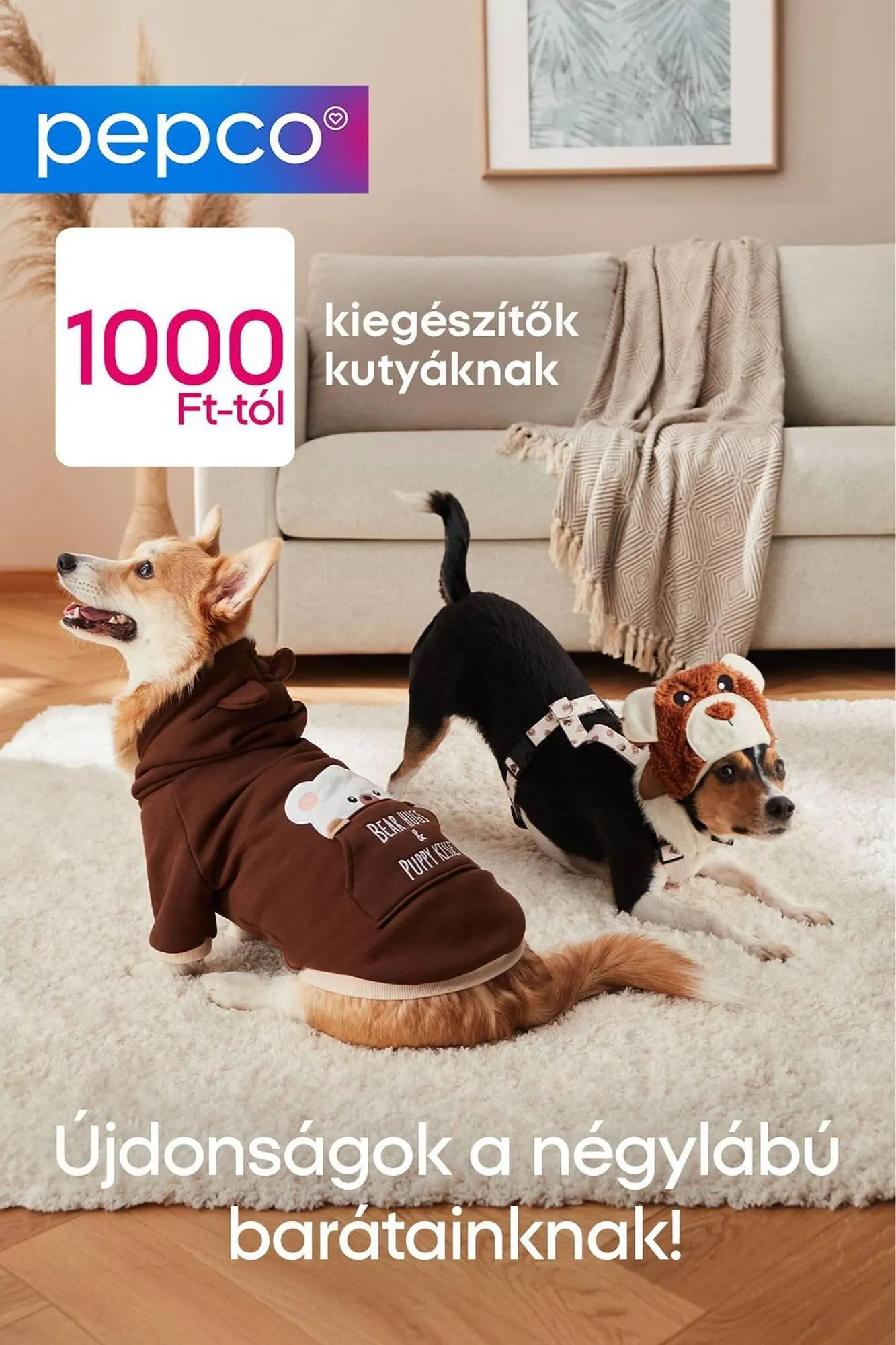 Katalógus Pepco akciós újság január 14.-tól január 20.-ig 2026. - Oldal 1