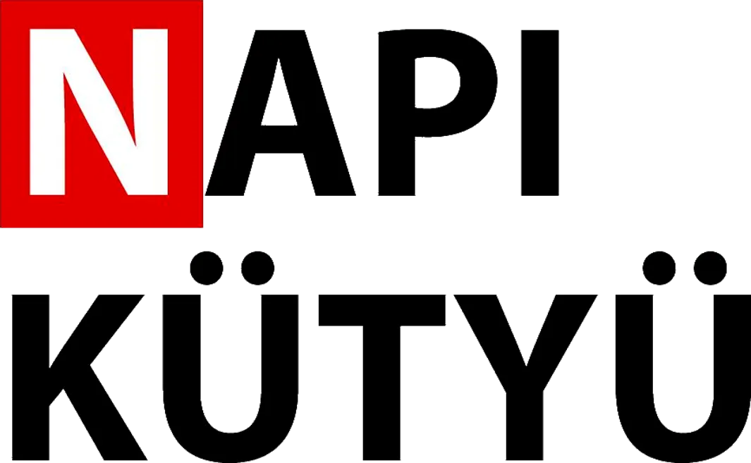 NapiKütyü logo