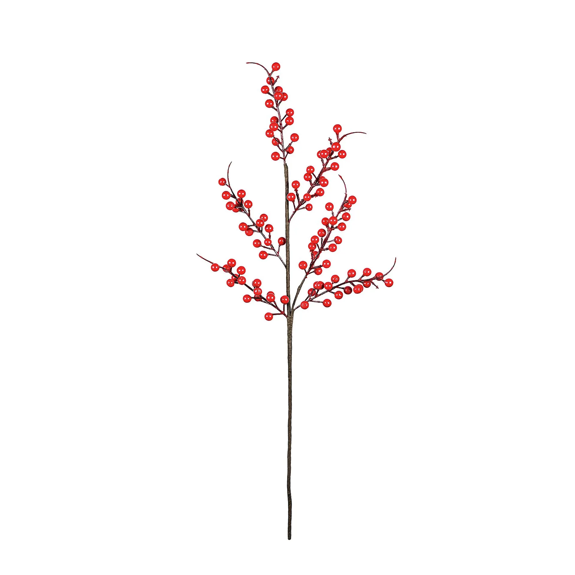 Red Holly Christmas decoration