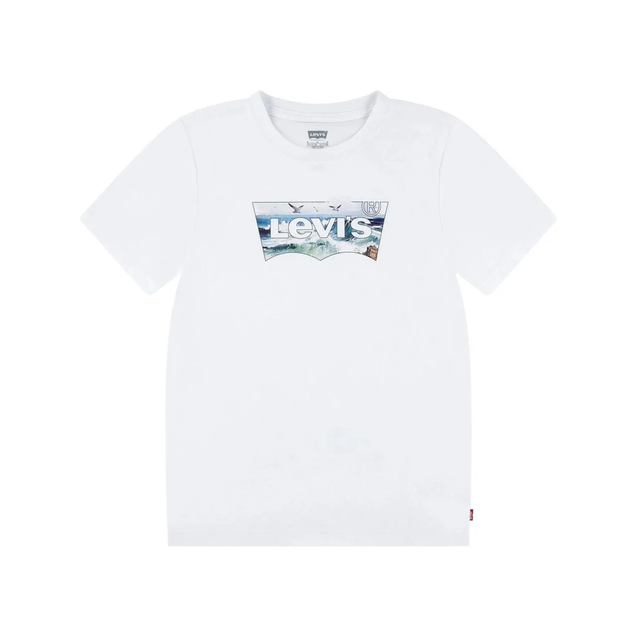 LEVIS Crashing Waves Batwing Tee