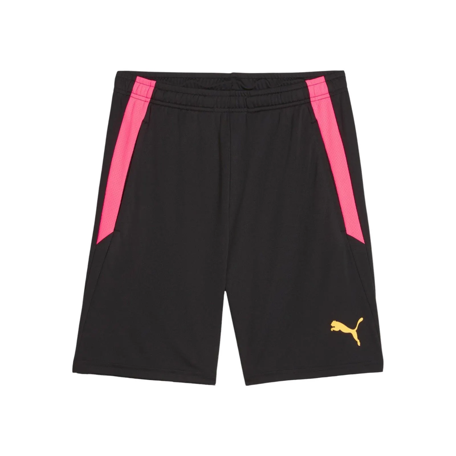 PUMA TEAMLIGA MENS TRAINING SHORTS