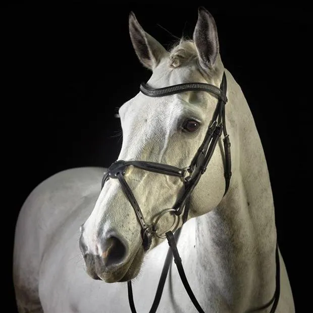 Monarch Crystal Grackle Bridle