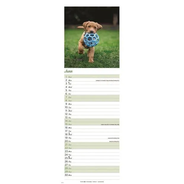 Puppies Calendar 2025