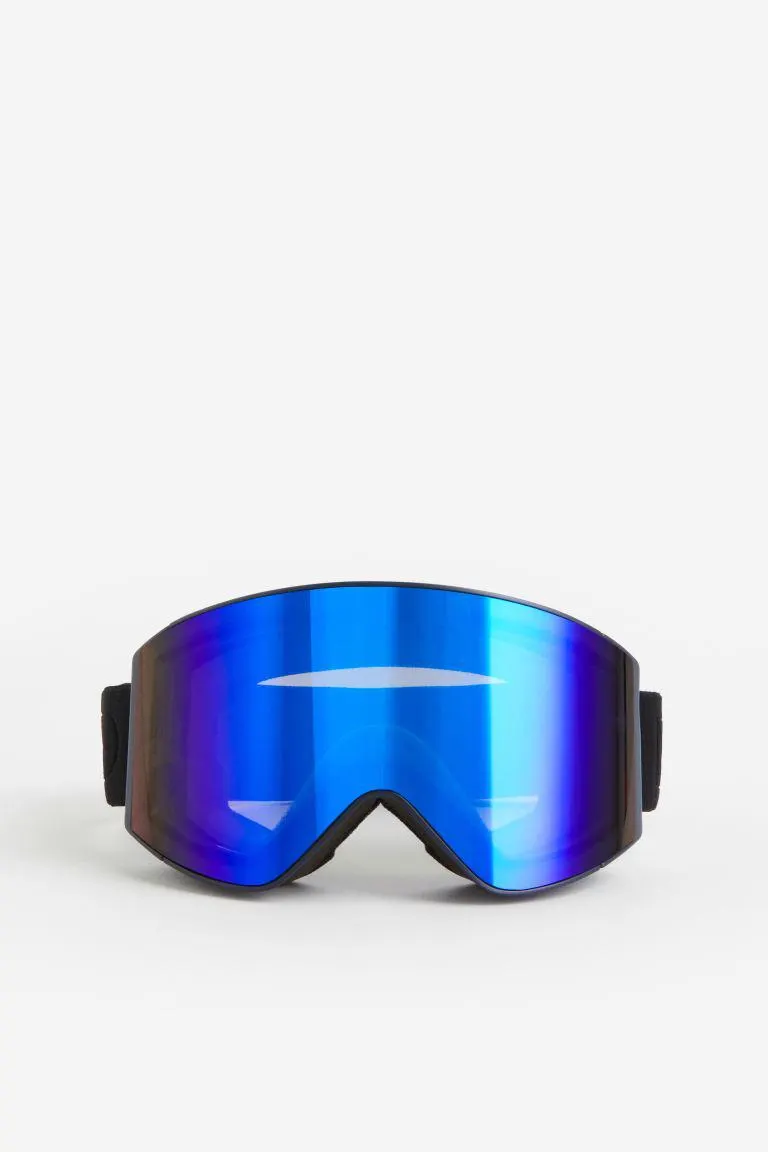 Ski goggles