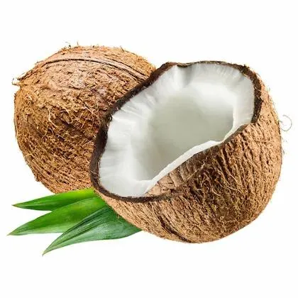Big Coconut 1 Pc ( Approx 350 g - 600 g)
