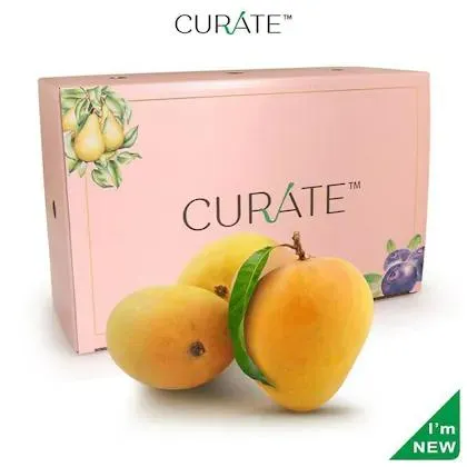 Curate Mango Alphonso Devgad Premium Indian 12 Pc (Approx 2.85 kg - 3.32 kg)