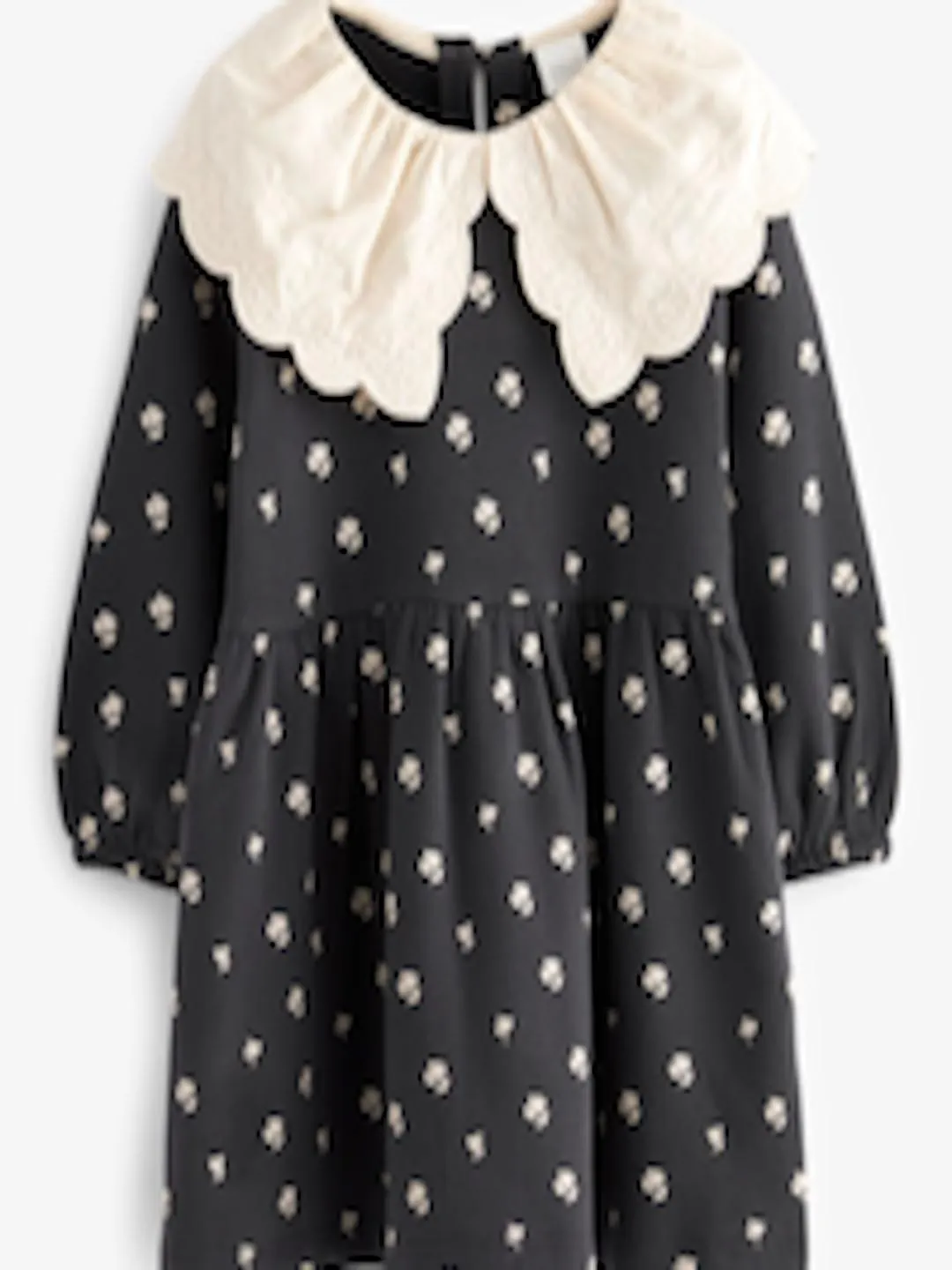 Floral Print Above the Keyboard Collar Puff Sleeve Fit & Flare Dress
