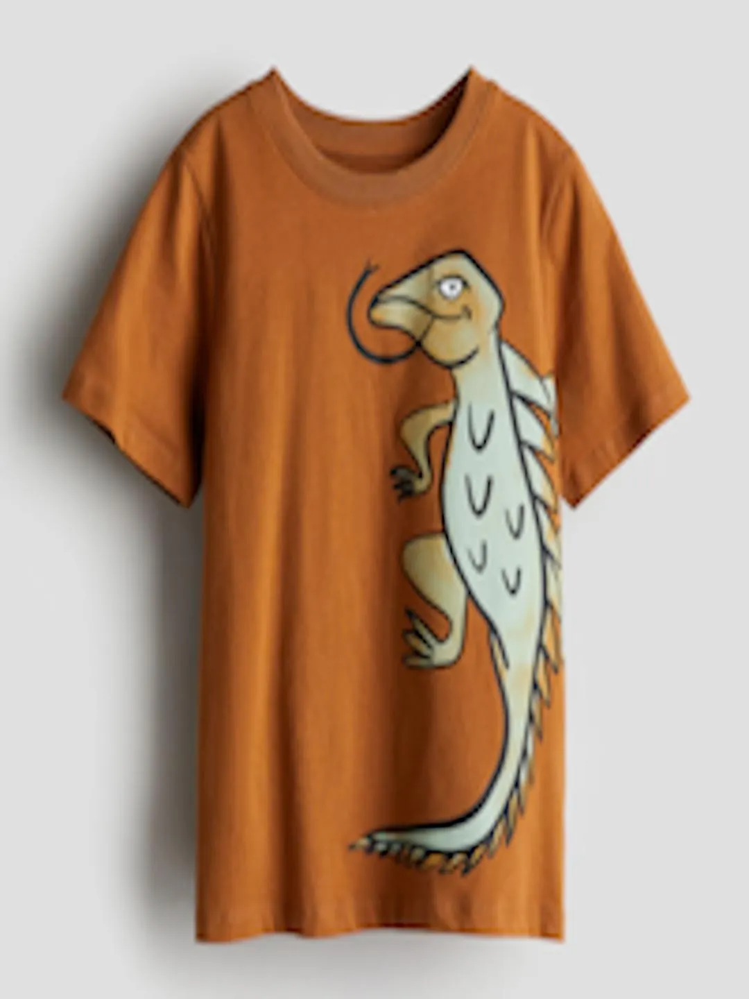 Boys Pure Cotton Printed T-shirt