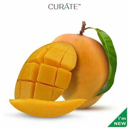 Curate Mango Alphonso Devgad Premium Indian 1 Pc (Approx 220 g - 290 g)