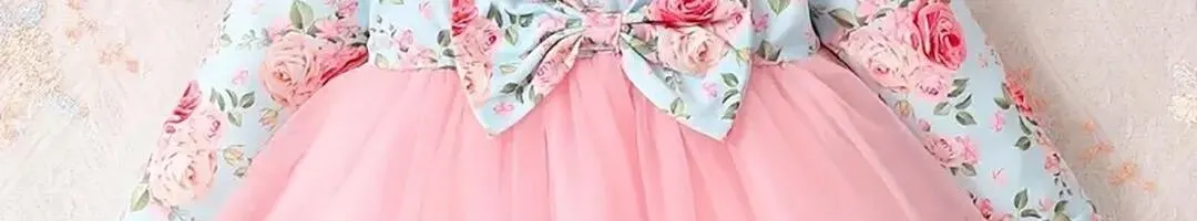 Floral Printed Net Ruffles Fit and Flare Dress