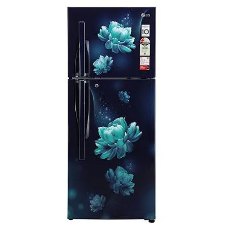 240L, 2 Star, Smart Inverter Compressor, Convertible, Smart Diagnosis™, Blue Charm Finish, Frost-Free Double Door Refrigerator