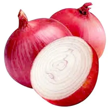 Onion 5 kg (Pack)