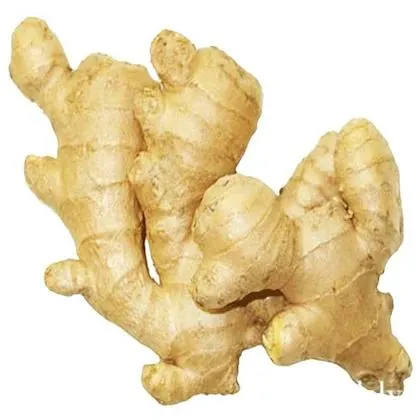 Ginger Indian 200 g