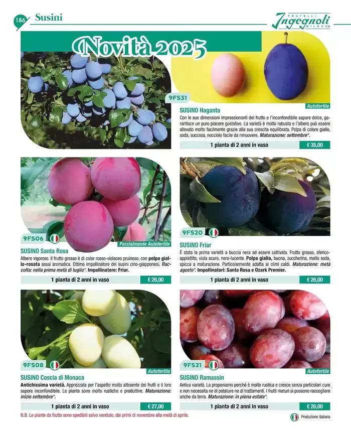 Catalogo guida 2025 da 20 gennaio a 31 dicembre di 2025 - Pagina del volantino 188